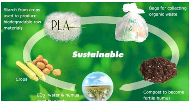 2023年全球生物降解塑料需求量或达55万吨，主要是这6大一次性塑料产品替代材料！