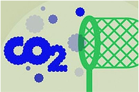 2023年全球生物降解塑料需求量或达55万吨，主要是这6大一次性塑料产品替代材料！