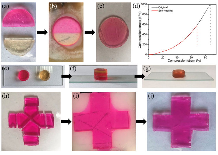 上海交通大学王新灵/河南科技大学雷昆《AFM》 :自抗菌、自粘附、可修复、可注射、耐酸耐碱的DN水凝胶粘附敷料 上海交通大学王新灵/河南科技大学雷昆《AFM》 :自抗菌、自粘附、可修复、可注射、耐酸耐碱的DN水凝胶粘附敷料