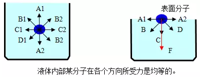 胶粘剂附着力基本原理分析